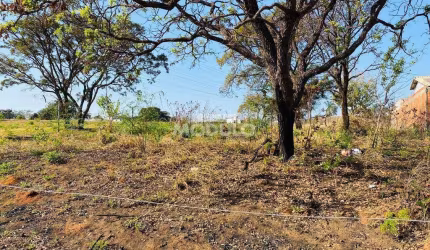 Exelente Terreno de esquina no Inconfidençia