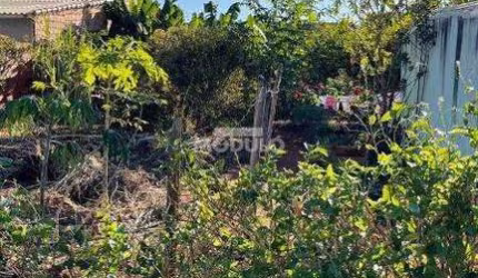 Lote/Terreno à Venda, 300 m²