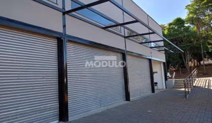Galpão/Depósito/Barracão à venda, 2 vagas, Vigilato Pereira - Uberlândia/MG