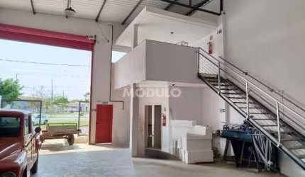 Galpão Comercial para locação Bairro Santa Rosa