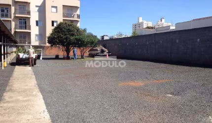 Dois Terrenos Contíguos de 400m² Cada - Totalizando 800m²