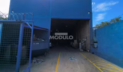 Galptão comercial para locação bairro Santa Rosa