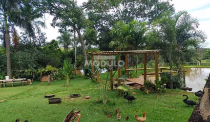 Maravilhoso Sítio - 12 Km de Araguari - MG