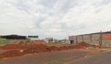 ÁREA à venda, Segismundo Pereira - Uberlândia/MG
