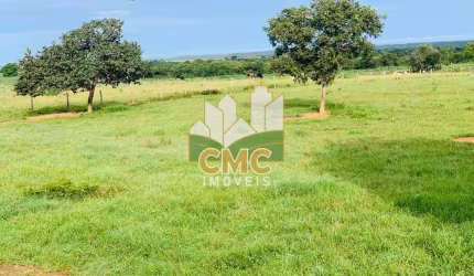 FAZENDA À VENDA – 420 HECTARES | ROSÁRIO OESTE/MT