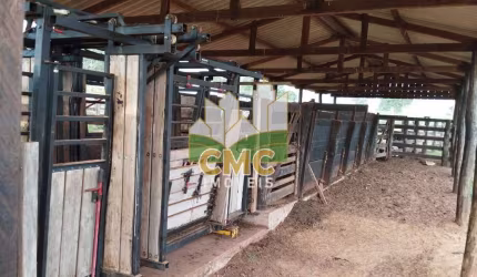 FAZENDA EM POXORÉU 800 HA 550 HA DE PASTAGENS