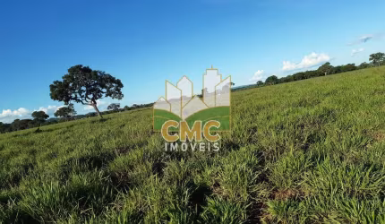 FAZENDA EM NOBRE 911 HA - PORTEIRA FECHADA 900 CABEÇAS DE GADO