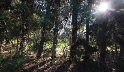 Terreno Condomínio em Taubaté