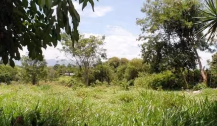 Terreno Padrão em Pindamonhangaba
