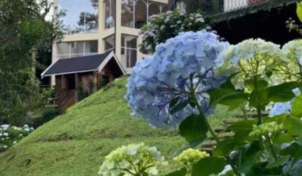 Casa Padrão em Campos do Jordão