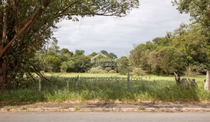 Terreno Padrão em Taubaté
