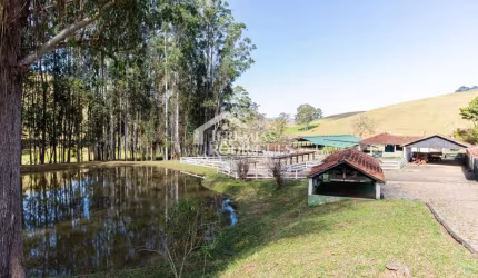 Fazenda com 314 hectares em Cunha/SP