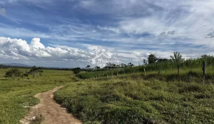Fazenda à venda com 98,603 hectares no bairro Triângulo em Pindamonhangaba/SP.