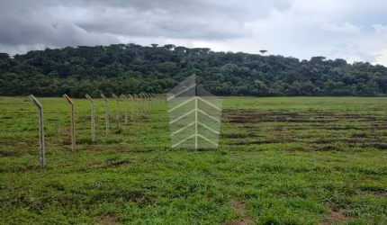 Chácara a 15 minutos de Centro de Ponta Grossa