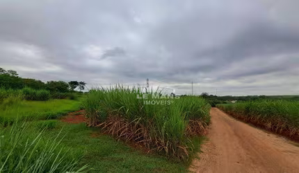 Terreno para alugar, no bairro Conceição em  Piracicaba - SP