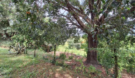 Terreno a venda, no bairro Nova Suiça em Piracicaba - SP