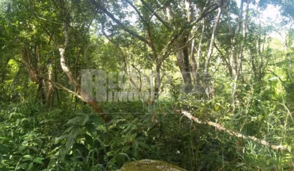 Tereno á venda no bairro Canasvieiras em Florianópolis.