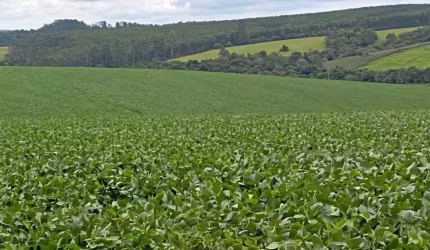 Oportunidade única: Sítio à venda em Pilar do Sul-SP, Zona Rural! 484.000m² de área!