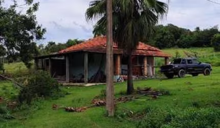EXCELENTE FAZENDA A VENDA EM SÃO MIGUEL ARCANJO-SP ??   Área Total: 75 Alqueires  Aproveitamento: 65%   Agricultura: 20 Alqueires  Eucalipto: 18 Alqueires    Arrendamento: Eucatex até 2.036  Solo: Mis