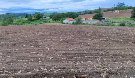 FAZENDA A VENDA NA REGIÃO DE ITAPETININGA - SP  ??   Dupla Aptidão: Pastagem e Agricultura   Área Total 48,25 Alqueires  8 Alqueires em Lavoura  27