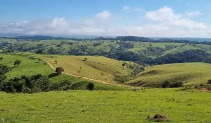FAZENDA A VENDA EM CAPÃO BONITO-SP ??   Área Total: 390 Hectares ou 161 Alqueires  Área de Pasto: 122 Alqueires   Área de Lavoura: 8 Alqueires  Rese