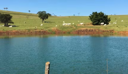 Fazenda de Luxo à Venda em Corumbá de Goiás-GO - 3 quartos, 3 suítes, 3 salas, 4 banheiros, 5 vagas de garagem, 12.530.000,00 m² de área.