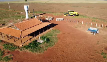 FAZENDA A VENDA NA REGIÃO DE PRESIDENTE PRUDENTE-SP ??    EXCELENTE OPORTUNIDADE DE NEGÓCIO E INVESTIMENTO    Localizada no Município de Presidente Epitácio   Área Total de 223 Alqueires   Excelente A