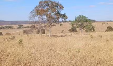 Fazenda Disponível pra Venda......No Estado de Goiás........No município de Luziania. Goiás......Valor da pedida 230.000.00 por Alqueires........ou ta