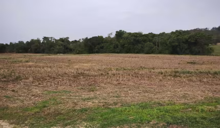 SÍTIO A VENDA EM ANGATUBA-SP   Área Total: 32,91 Hectares ou 13,6 Alqueires   10 Alqueires de Aproveitamento   Terra Mista de Lavoura  Rico em Água, Nascente, Ribeirão e Rio Guareí no Fundos   Boa Top