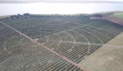 Fazenda de luxo à venda em Cardoso-SP, Zona Rural: 3 quartos, 1 suíte, 3 salas, 2 banheiros, 3 vagas de garagem, 1.583.164,00 m².