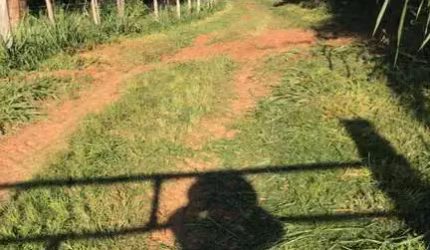 Chácara à venda em Itobi-SP, Zona Rural: 1 quarto, 1 banheiro, 0,01 m² de área!