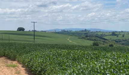 Fazenda à venda em Itapetininga-SP: 2 quartos, 1 sala, 1 banheiro e 3.484.800,00 m² de área!