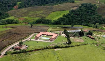 Fazenda 50 Alqueires,  Formada em Lavoura e Pasto, - 31 Alqueires em Plantio, - Topografia Ondulada e Declive para Água, Terra Mista de Cultura,