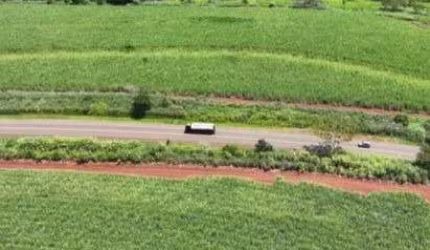 Fazenda de Cana 200 Alqueires ou 484 hectares   121,90 Alqueires ou 295 hectares em Cana   Arrendamento Grupo Raízen  Válido até 2024/2025  50 tonelad