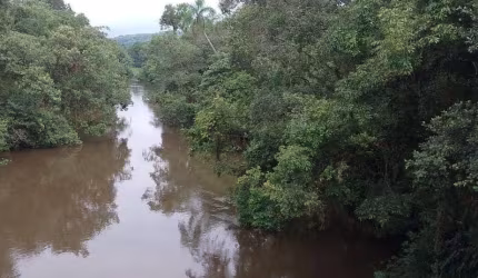 EXCELENTE ÁREA PARA COMPENSAÇÃO AMBIENTAL NO ESTADO DE SÃO PAULO ??   Localizada na Região do Vale do Ribeira   Município de Sete Barras   Área Tota