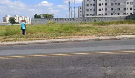 Terreno Plano 300m2 Comercial, Excelente Localização, Agua, Luz, Asfalto, Esgoto!