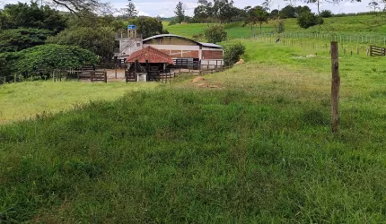 Fazenda 128,26 Hectares ou 53 Alqueires   Formada em Pasto   Conta com uma Estrutura de Primeira Qualidade para Pecuária de Corte  Boa Topografia e Bo