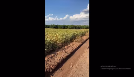 Sítio de 01 alqueires 70 mts de frente.. Fica no Santa Rosa próximo Ajinomoto. R$650mil