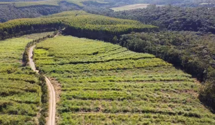 Sitio  19 Alqueires   - Aproveitamento de 13 Alqueires   - Boa Topografia  - Ribeirão com ótimo fluxo de Água   - 9 km do Asfalto, Ótima Estrada   - C