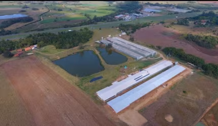 Sitio c/ Granja 8 Alqueires, 6 barracões Modernos sendo 2 Barracões Novo, Granjas Automáticas, 220 mil frangos, Energia Solar e Gerador, Boa de Água