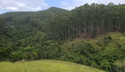 Fazenda de Eucaliptos 241,88 Alqueires ou 585,36 Hectares   Aproveitamento: 145,90 Alqueires ou 353,08 Hectares  120 Alqueires ou 290,42 Hectares em E