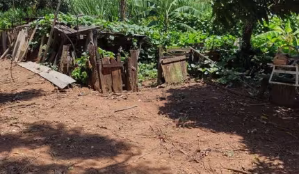 sítio 5 alqueires em casa branca 5 mil pés de café produzindo com divisórias com trator e casa de caseiro e casa para morar 800,000,00 mil 1 km de estrada de chão