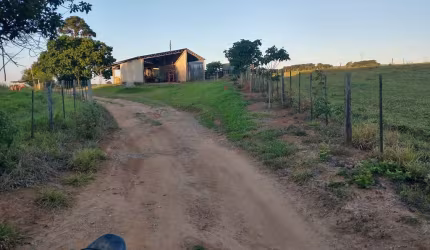 Fazenda 99 Alqueires  Formada em Lavoura e Pecuária  Terra Vermelha a Mista   Topografia Plana a levemente Ondulada  Rica em Água, Margeia o Rio   Ben
