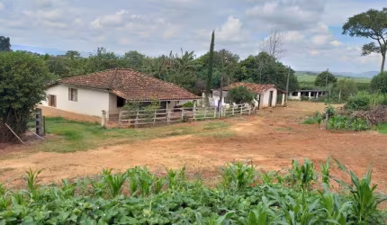 Fazenda de Café 60 Alqueires Contendo 550 mil Pés de café Planta mais 100 mil Pés Terra Roxa da Melhor Qualidade Lavouras de 5 e 10 anos 5 casas e Inf