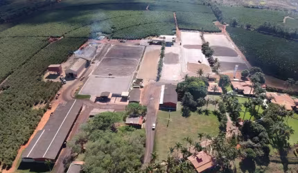 Fazenda de Café -Área total 1.333 hectares -Área com plantio de café 850 Hectares contendo 4 milhões de pés de Café e Altitude de 850 Metros  -Planta