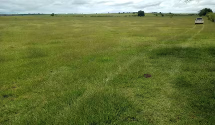 Fazenda 250 Alqueires Área para Plantio de aproximadamente 240 Alqueires   Excelente Aproveitamento   Está em Pasto   Teor de Argila de 18% a 30%  Ric