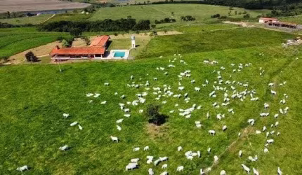 Fazenda 70 Alqueires, Formada em Pasto, Ótima Topografia, Solo Misto, Boa de Água, Represa, *Benfeitorias: Casa Sede com Piscina, Casa de Caseiro