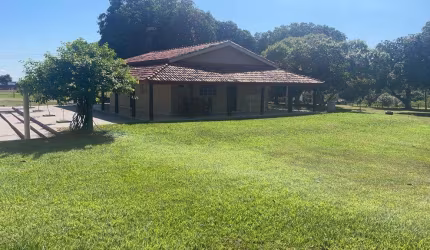 Fazenda 17125 Hectares 11.500 Hectares de área aberta  - 2.800 Hectares em lavoura - 8.050 Hectares em pastagem  - 210 divisões de pastos - 650 Hectar