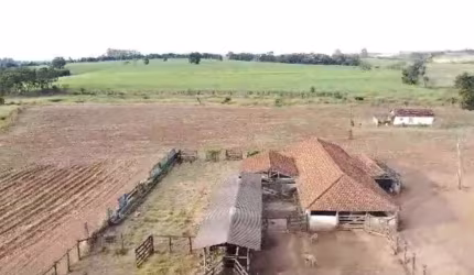 Fazenda Área Total 88,75 Alqueires Área em Cana 55,6 Alqueires 14 Alqueires a 50 Toneladas 41,6 Alqueires a 40 Toneladas 3,5 Alqueires em Pasto