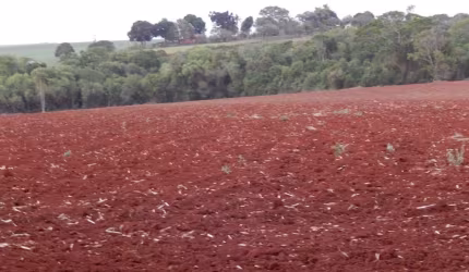 Sitio 15,7 Alqueires ou 38 Hectares 10 alqueires Para Lavoura Restante Reserva e App Topografia Plana Terra vermelha Ribeirão na Divisa 2 Casas Simple